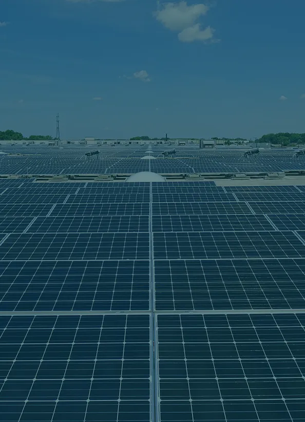 Extensive array of solar panels on a large field, promoting renewable energy and sustainability
